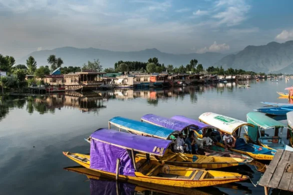 Visit Kashmir Dal Lake
