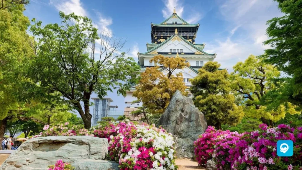 Osaka – Hub of Food and Nightlife