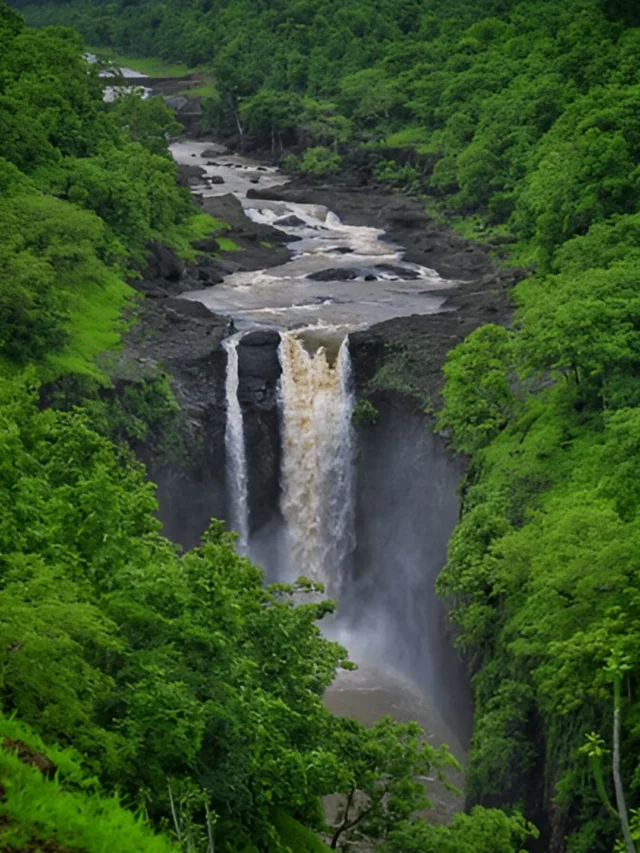 Top 5 Family-Friendly Places to Visit in Indore