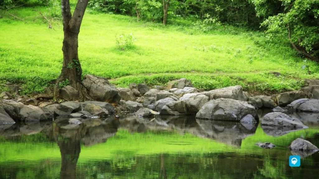 Sanjay Gandhi National Park