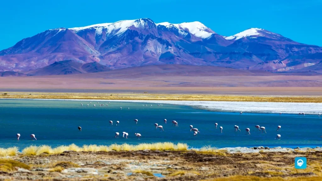 Atacama Desert, Chile