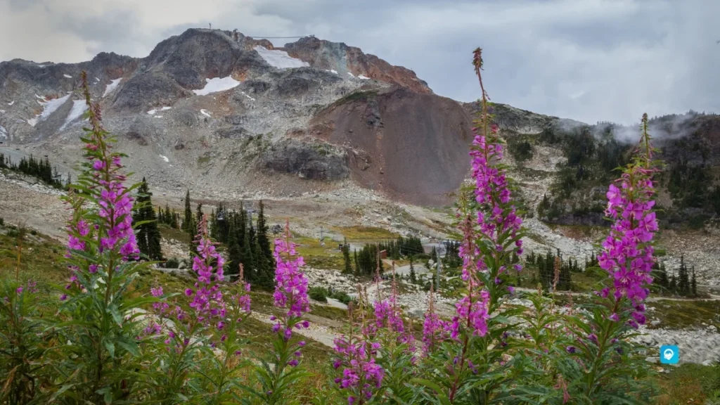 Whistler, British Columbia