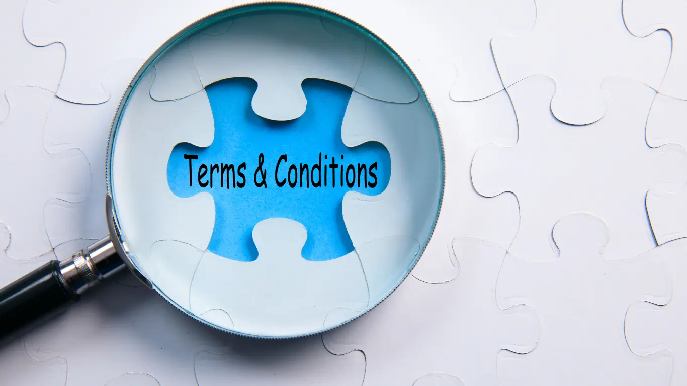Terms & Conditions