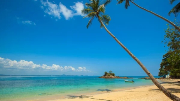 Best Destinations to Visit in August