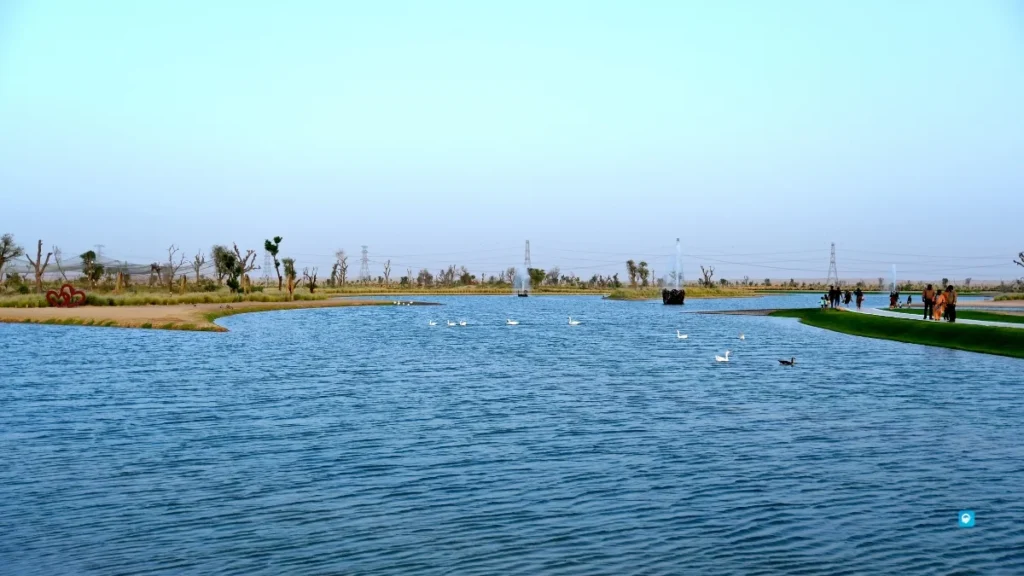 Al Qudra Lake – Peace away from the hustle and bustle of the city