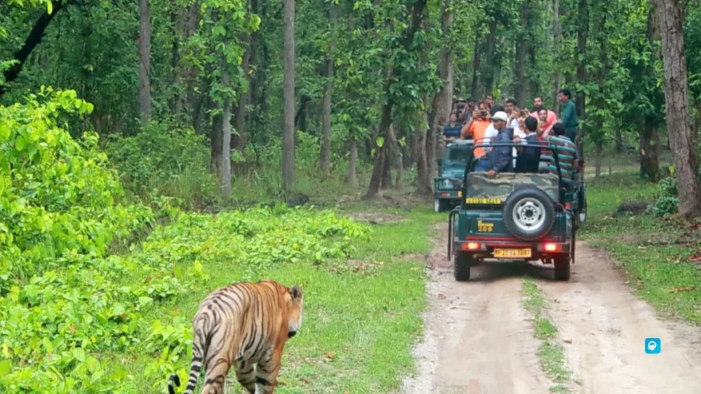 Bandipur - Karnataka, India
