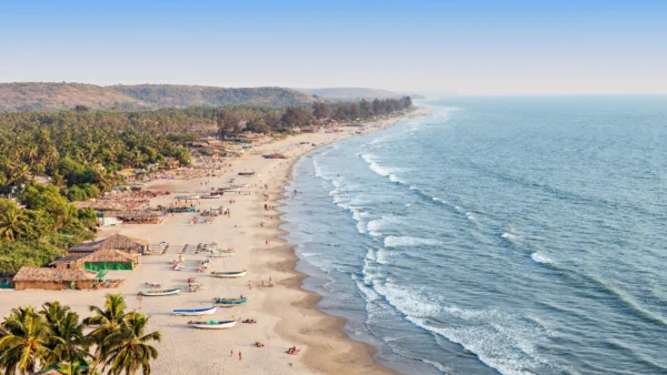 Best Time to Visit Goa banner image