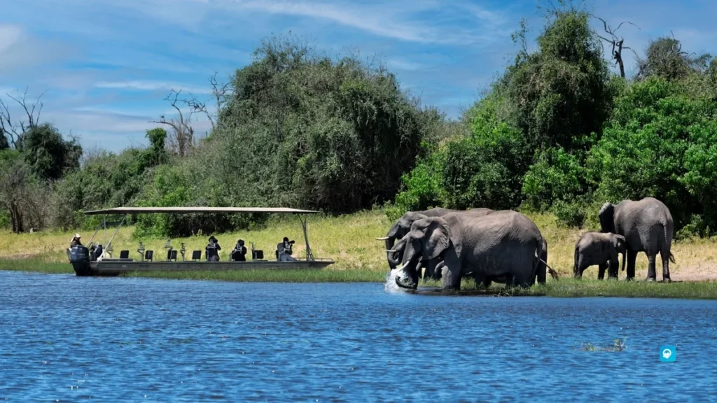 Chobe - Botswana