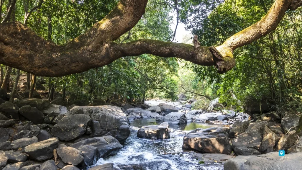 Dudhsagar Waterfall