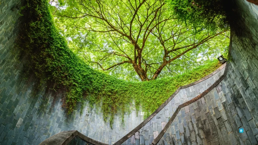Fort Canning Park