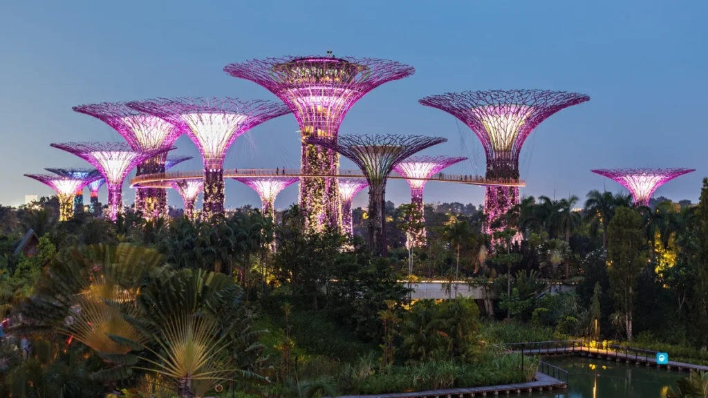 Gardens by the Bay (Supertree Grove)