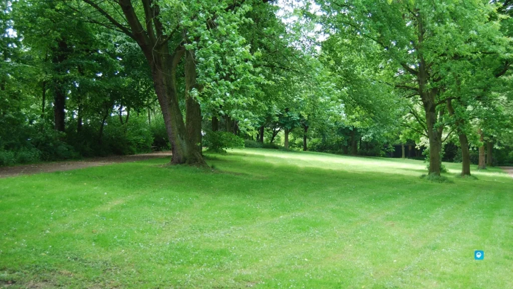 Hagley Park