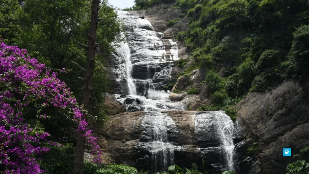 Kodaikanal (Tamil Nadu) 