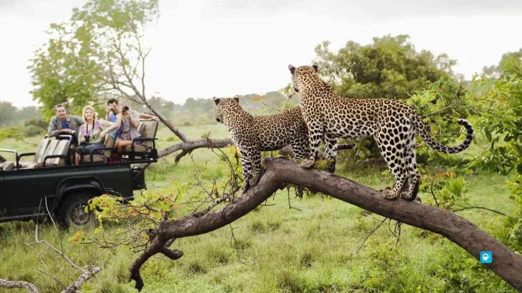 Kruger National Park