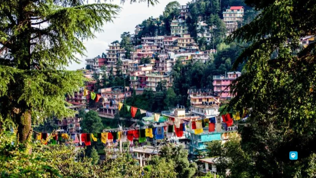 McLeodganj + Dharamsala 