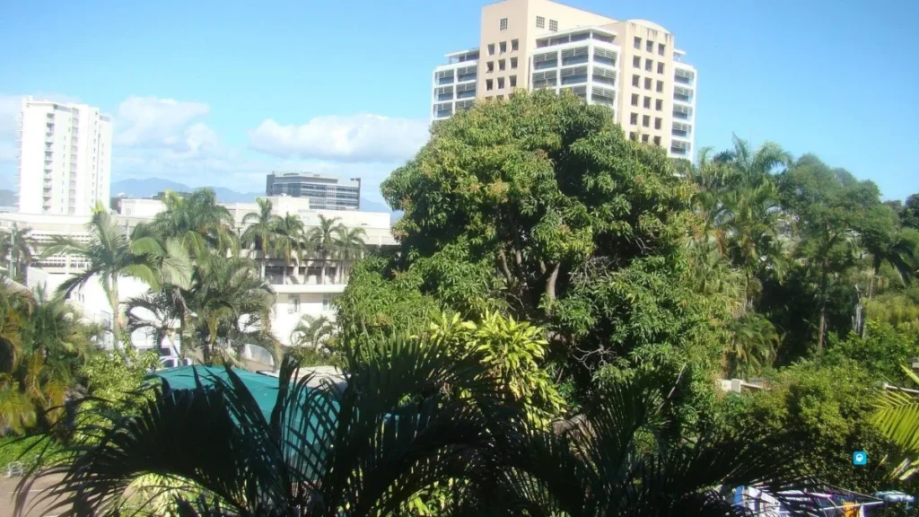 Orchid Guest House