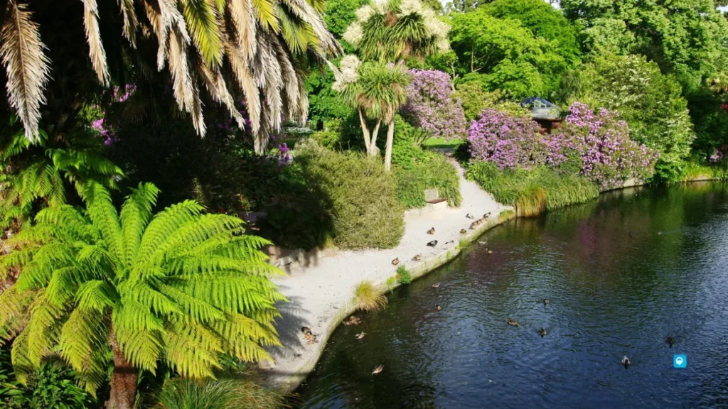 Ornamental Lake