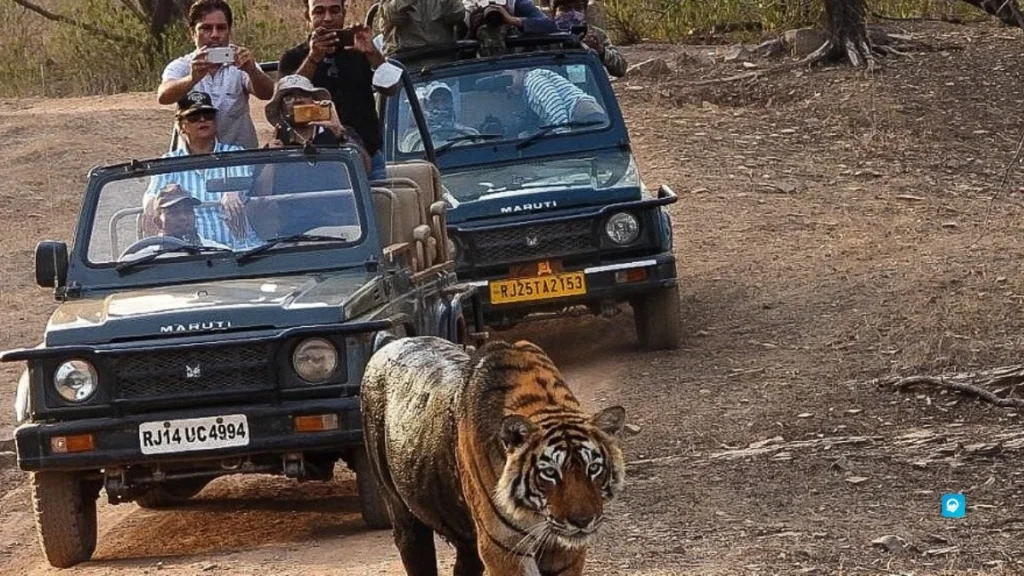 Ranthambore – Rajasthan, India