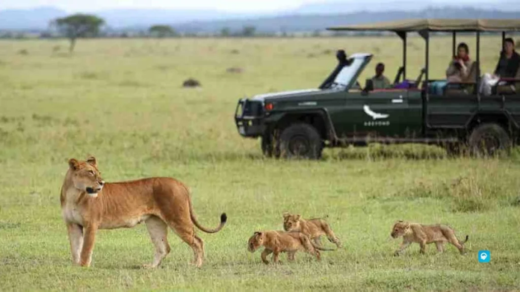 Serengeti - Tanzania
