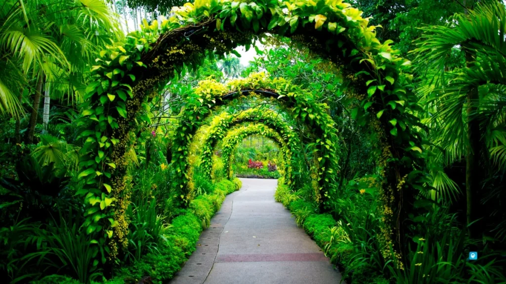 Singapore Botanical Gardens