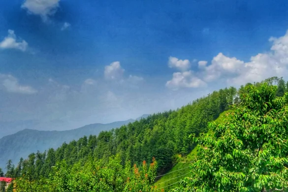 Top 10 Hill Stations in India for Summer Travel