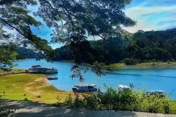 Best Places to Visit in Thekkady