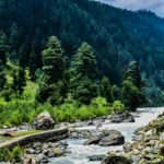 Srinagar to Pahalgam