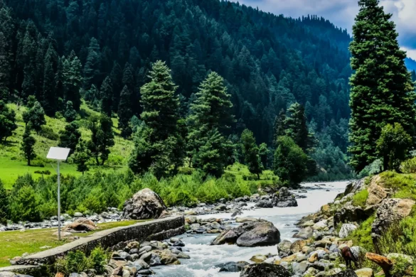 Srinagar to Pahalgam