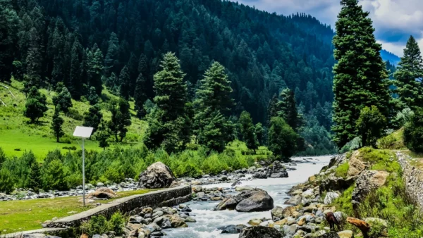 Srinagar to Pahalgam