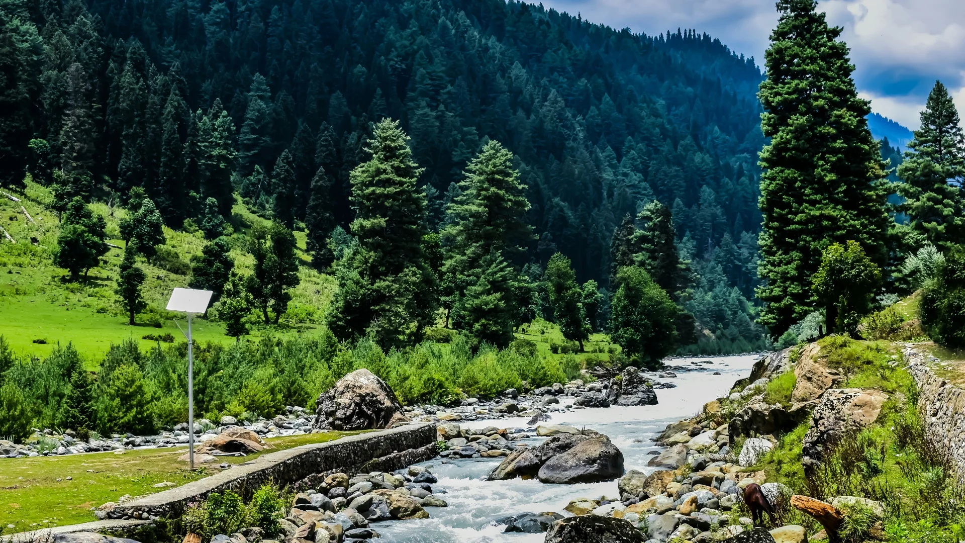 Srinagar to Pahalgam