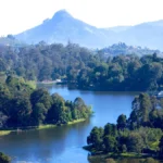 Kodaikanal Night Safari