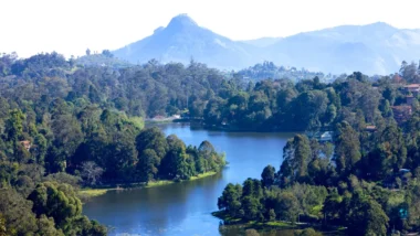 Kodaikanal Night Safari