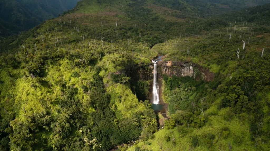 Vadghar Travel Guide