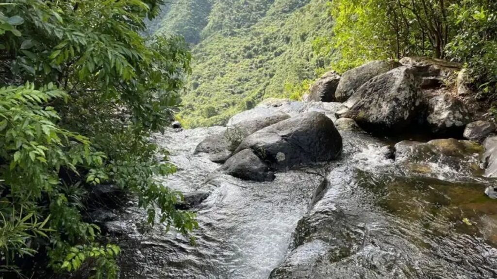 Mare Aux Joncs Waterfall