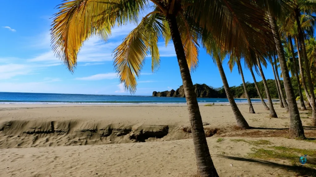 Playa Carrillo