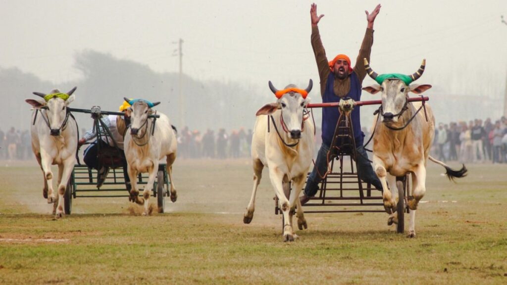 Kila Raipur, Punjab