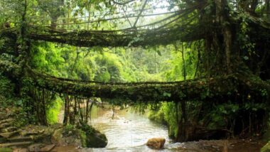 Top 7 Hidden Villages of North-East India