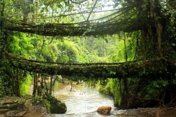 Top 7 Hidden Villages of North-East India
