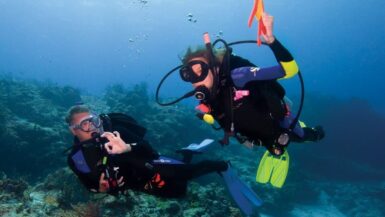 Best Scuba Diving Spots in India