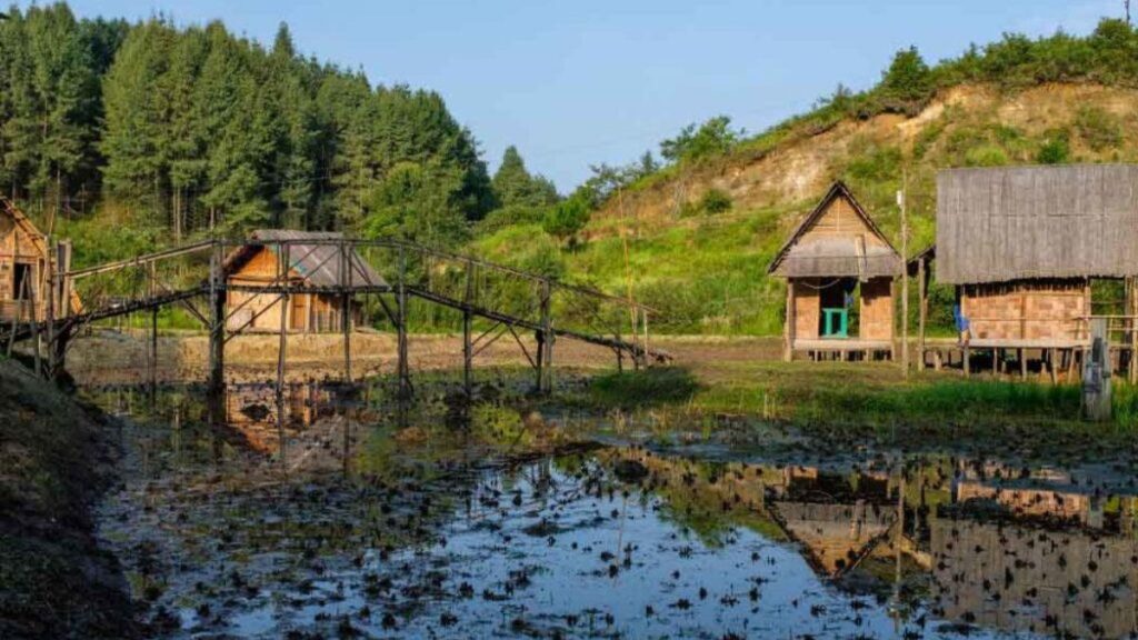 Ziro Village, Arunachal Pradesh