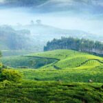 Best Places to Visit in Munnar Kerala