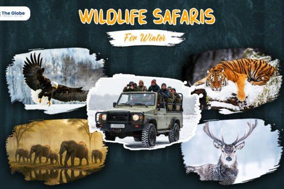Best Wildlife Safaris to Visit in Winter banner