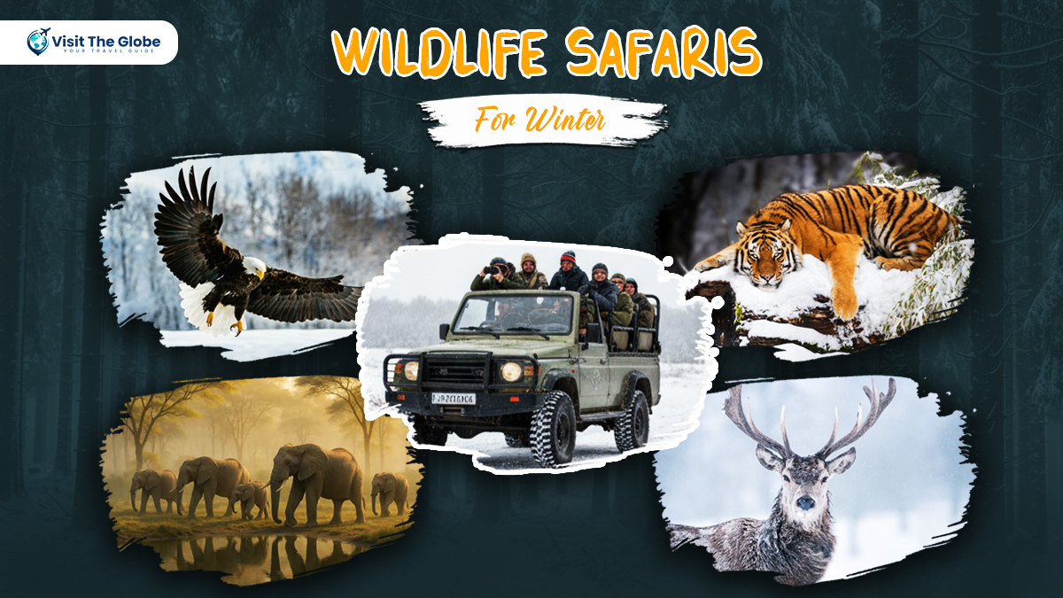 Best Wildlife Safaris to Visit in Winter banner