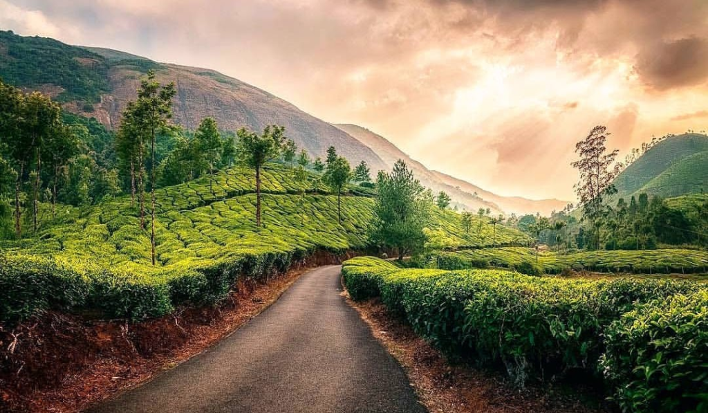 Munnar, Kerala