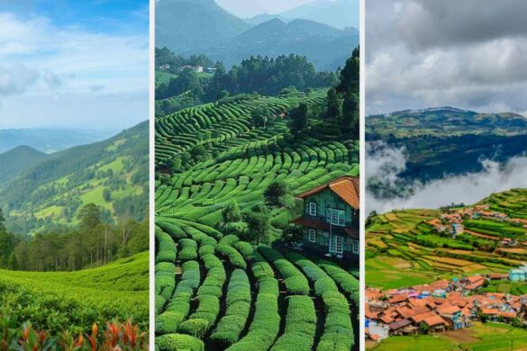 Unique Places to Visit in Ooty for Couples