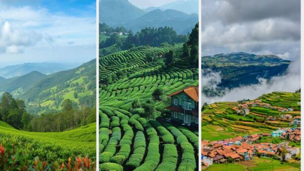 Unique Places to Visit in Ooty for Couples