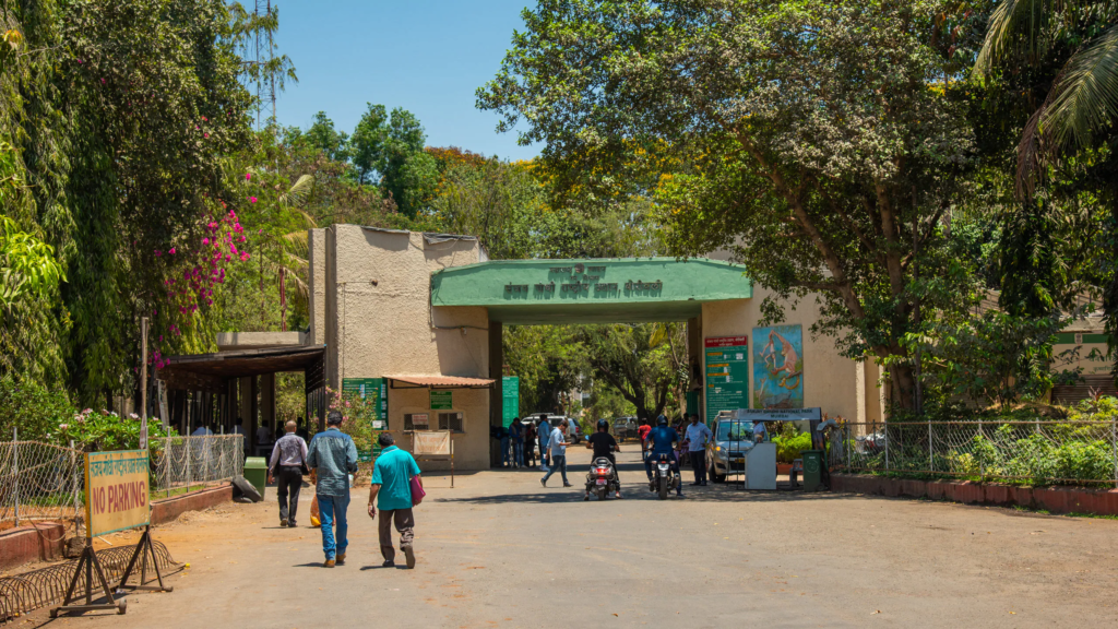 Sanjay Gandhi National Park — Borivali