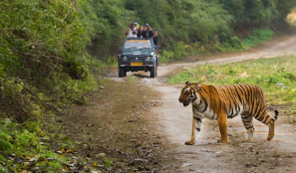 Jim Corbett National Park — Uttarakhand