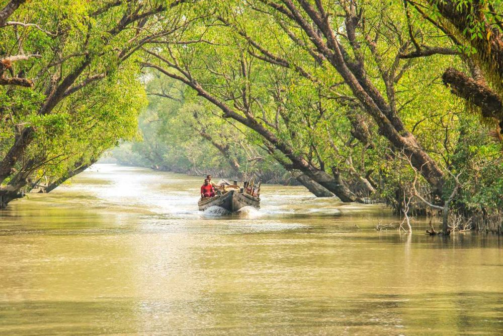 Sundarbans National Park — West Bengal
