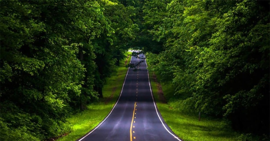 Bangalore to Coorg Road Trip